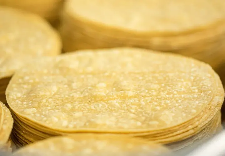 Montón de tortitas de maíz amarillas, listas para preparar tacos o enchiladas.