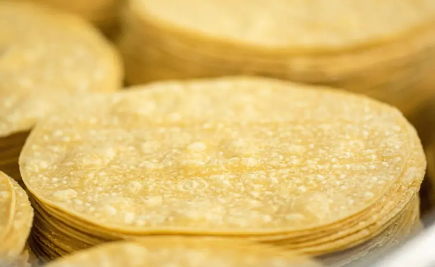 Tortitas de maíz tiernas y doradas en menos de media hora