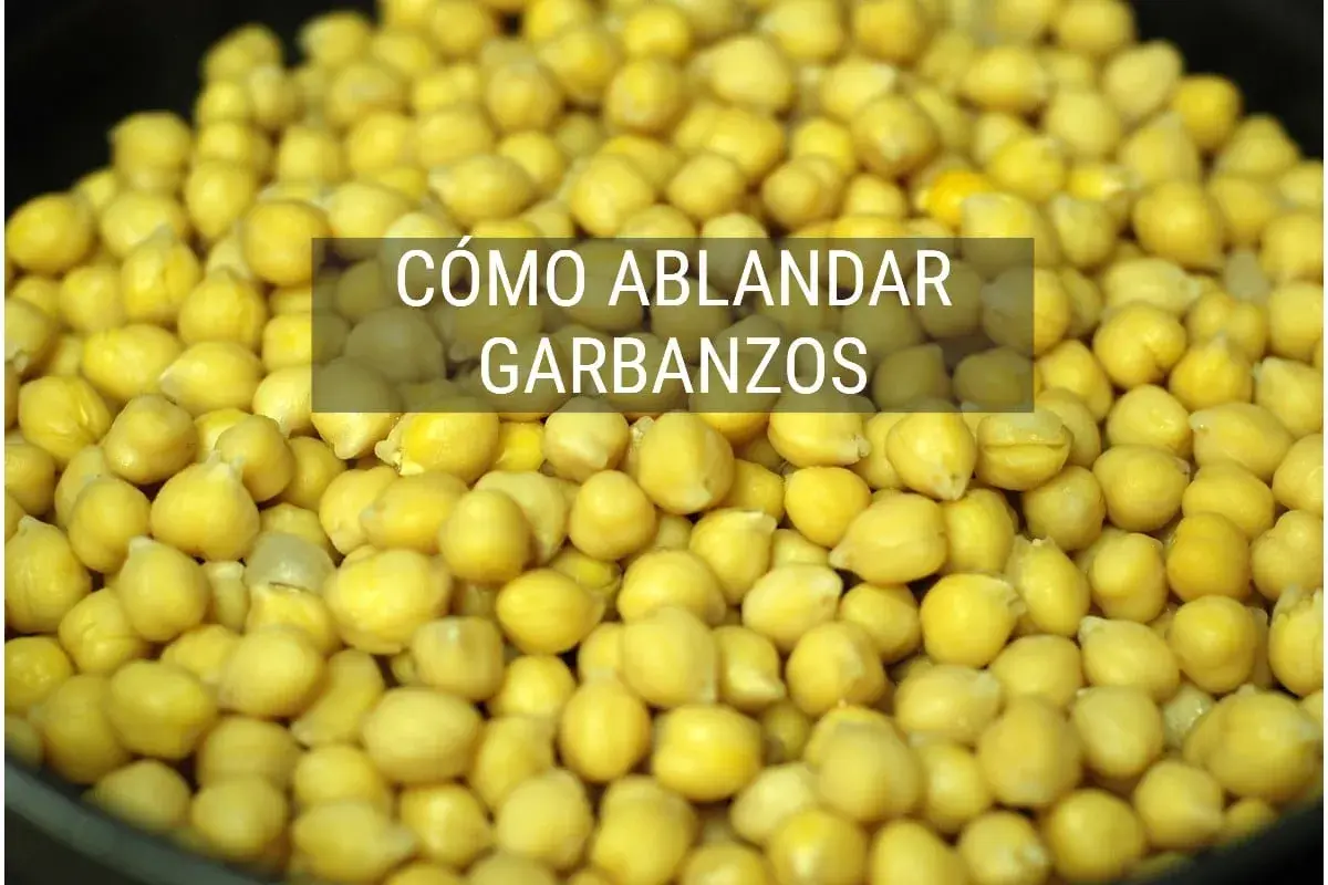 Montón de garbanzos listos para cocer. Aprende cómo ablandar garbanzos para tus recetas.