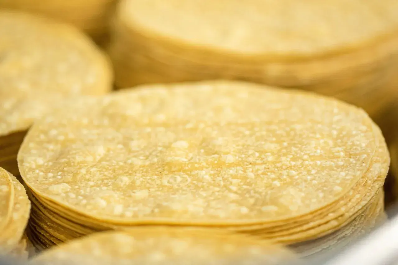 Montón de tortitas de maíz amarillas, listas para preparar tacos o enchiladas.